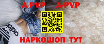 spice Кингисепп