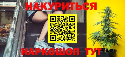 spice Кингисепп