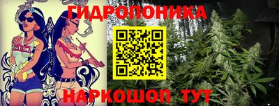 мет Кинель