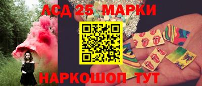 spice Кингисепп