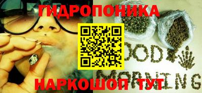 spice Кингисепп