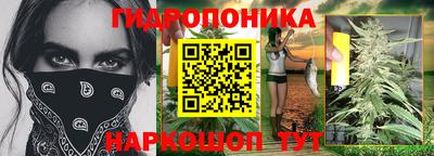 МДПВ Кимры